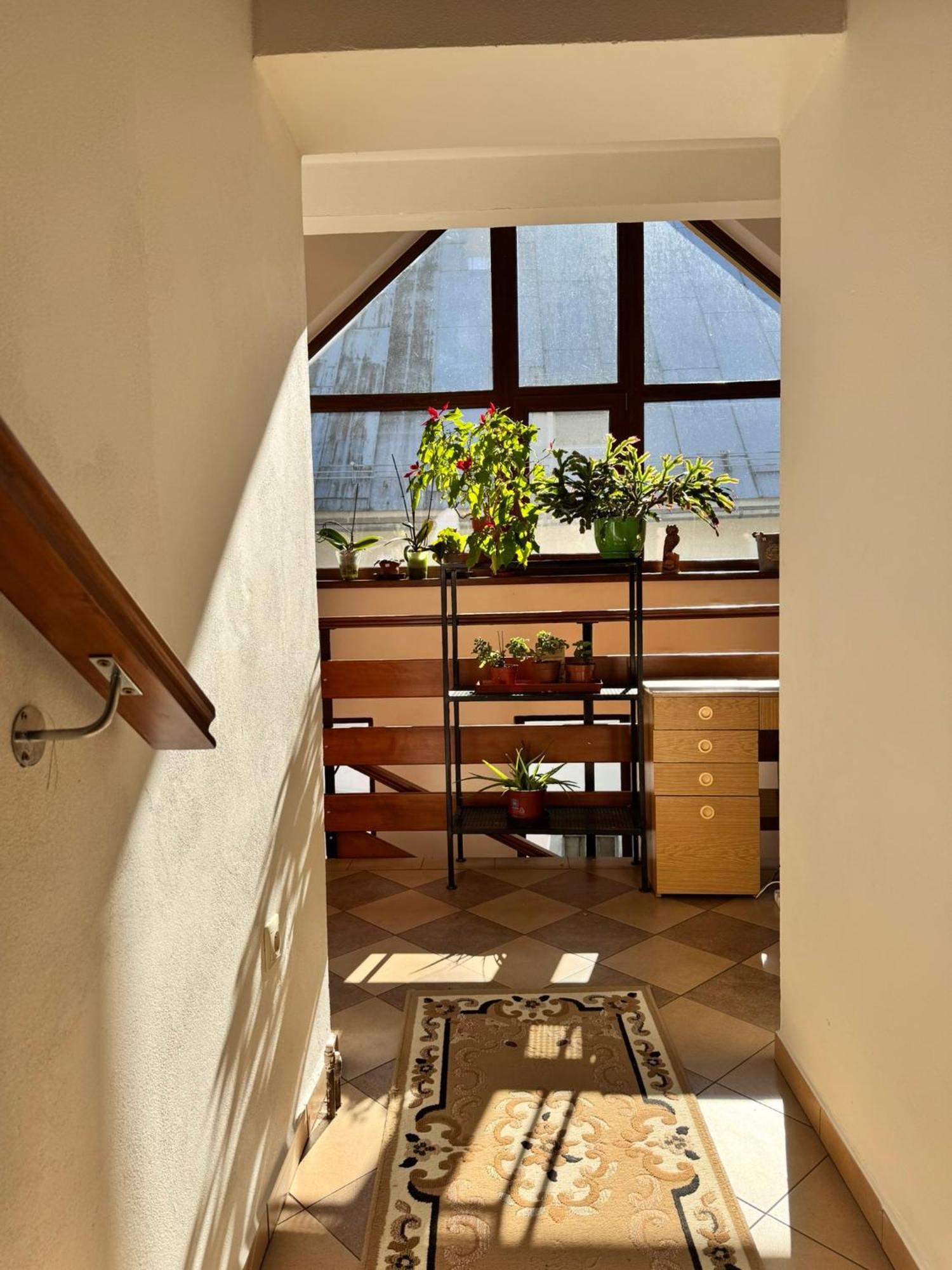 Apartmany Kenka Спишска Стара Вес Екстериор снимка